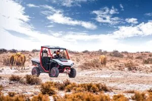 fugleman UT10 X