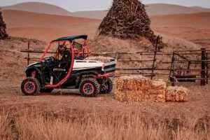 fugleman UT10 X